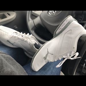 White Pumas